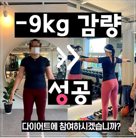 레고핏 이미지