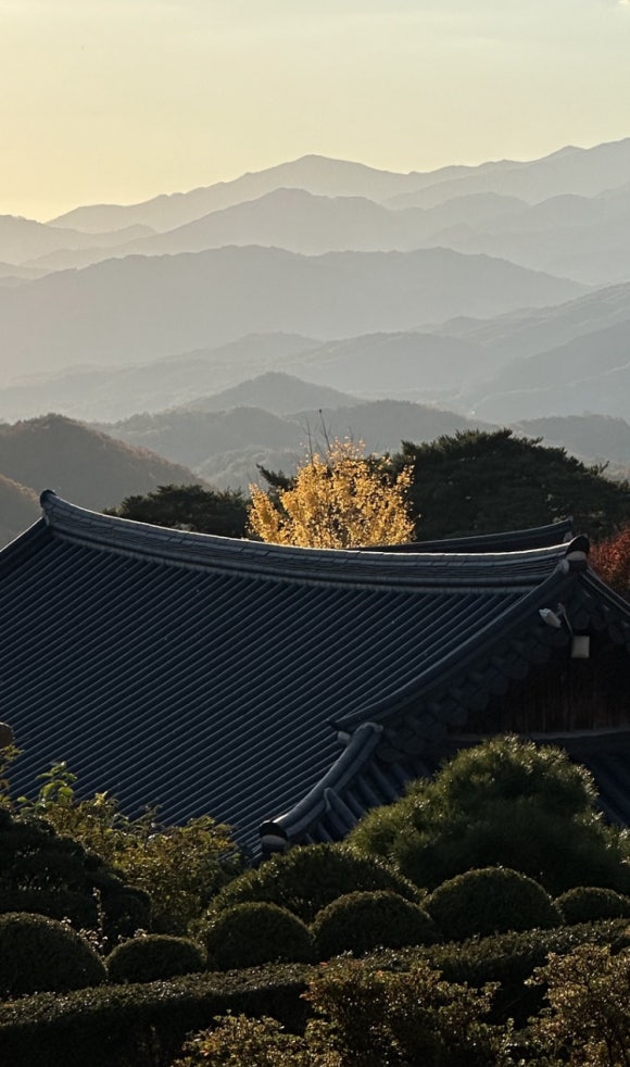 국립황정산자연휴양림캠핑장 이미지