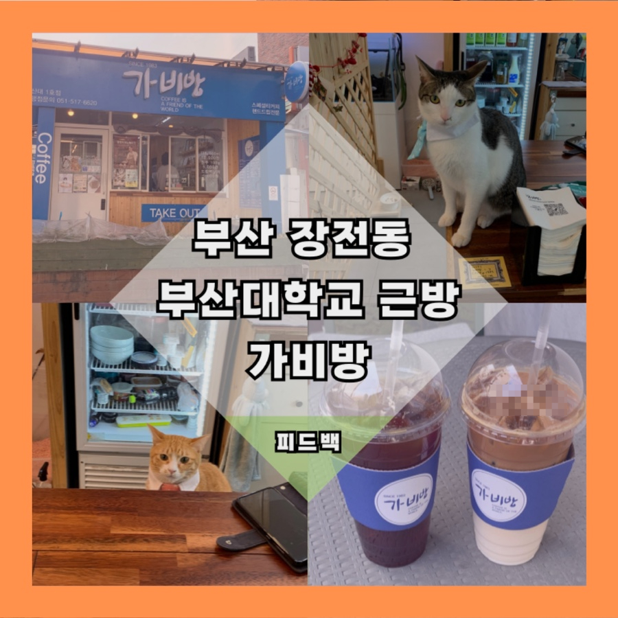 가비방 이미지