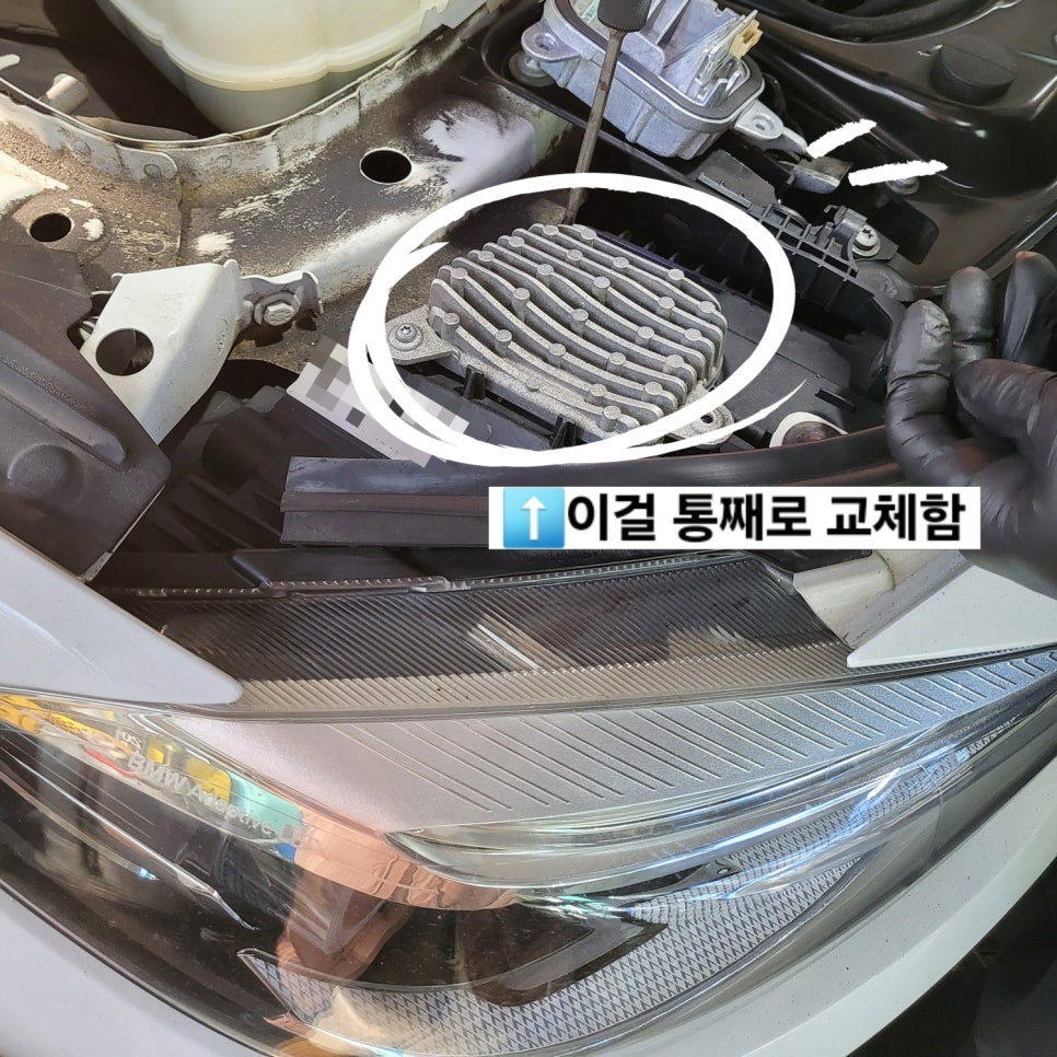 엘모터스 이미지
