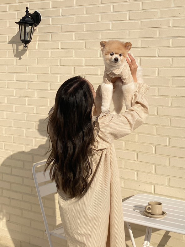 프롬렌탈 이미지
