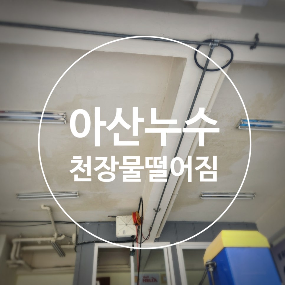 홍반장카센터 이미지