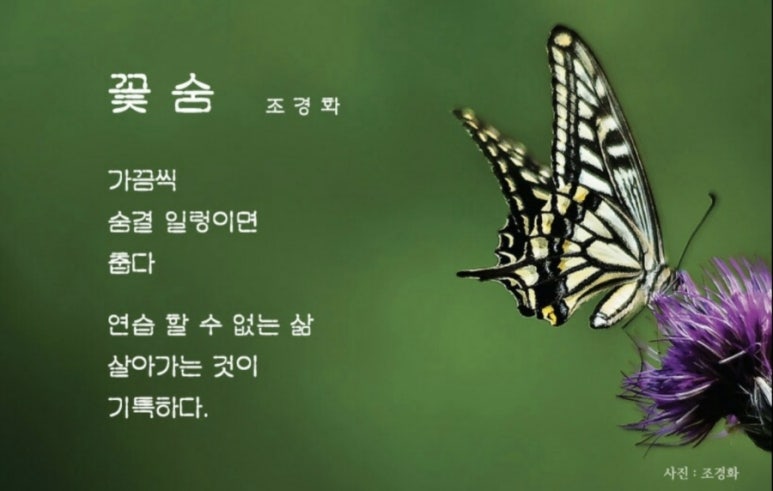 꽃;숨 이미지