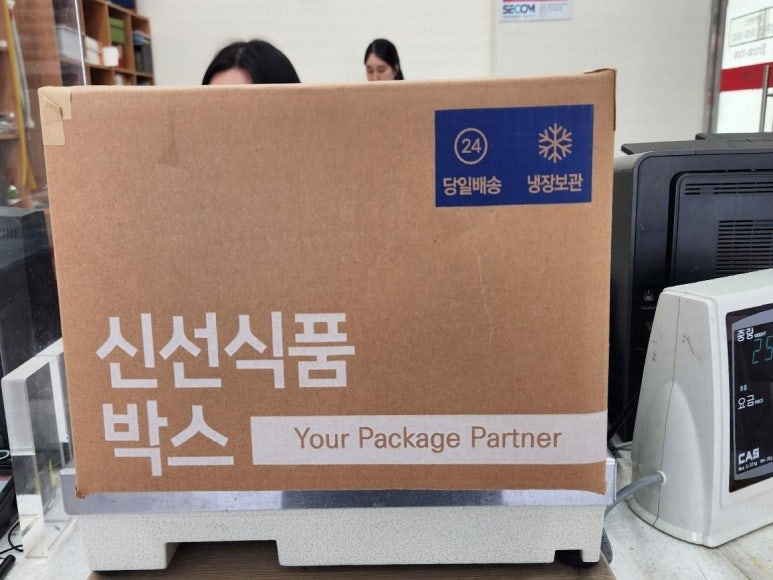 이안더치 이미지