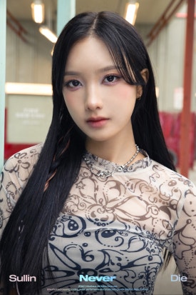 타이에스 이미지