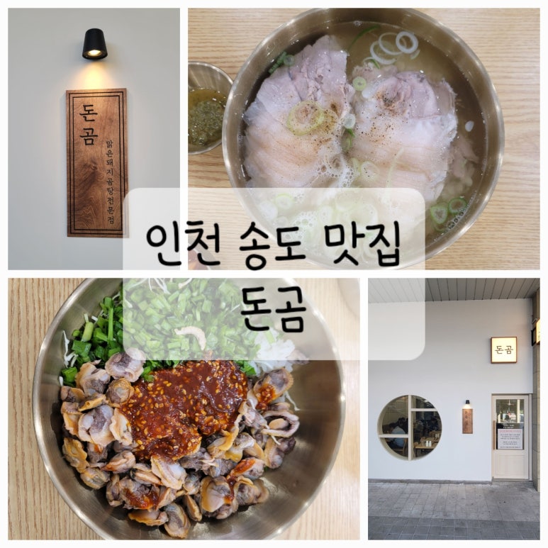 돈곰 이미지