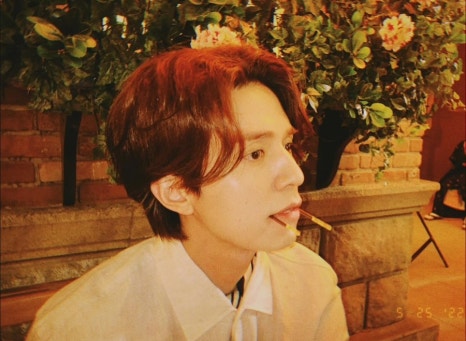 아린헤어 이미지