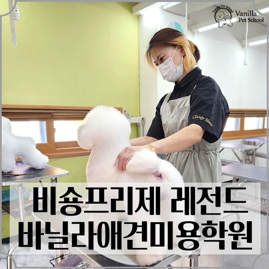 바닐라애견미용학원 이미지