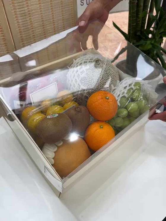 아담하다 이미지