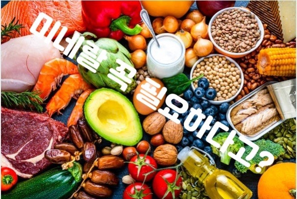국제이현협회 이미지