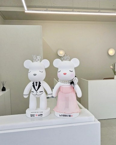 바이슈기 이미지