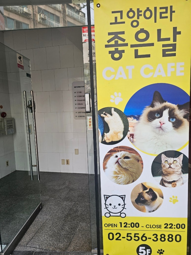 고양이라좋은날 이미지