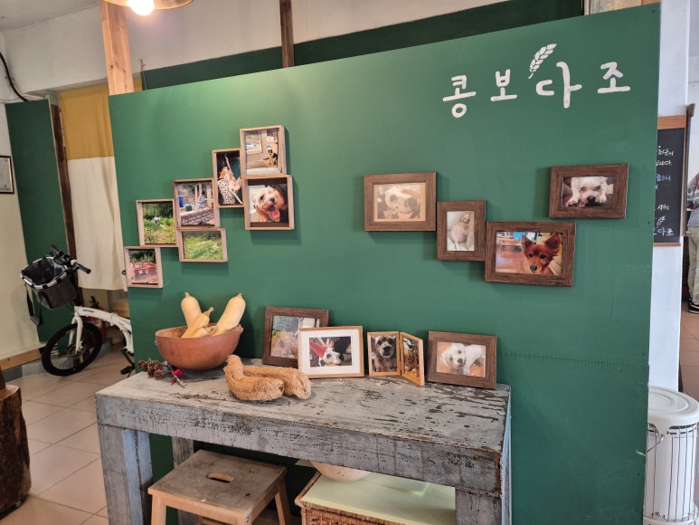 콩보다조 이미지