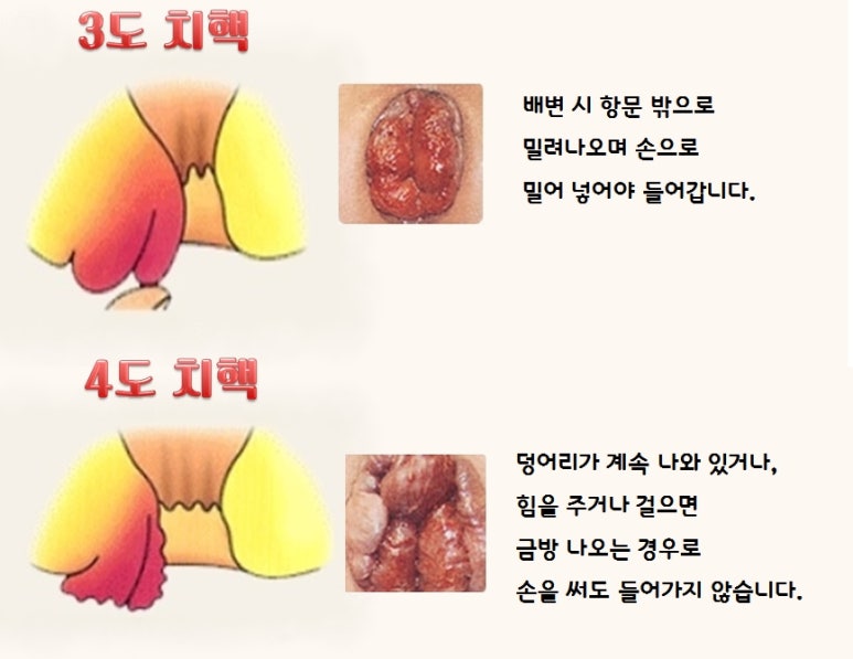 건항외과 이미지