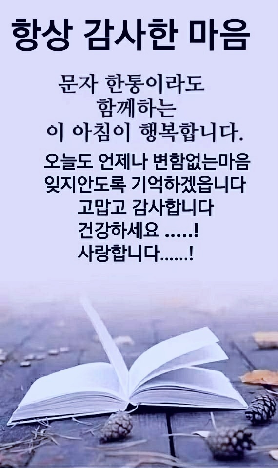 수지상사 이미지