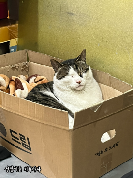 신광청과 이미지
