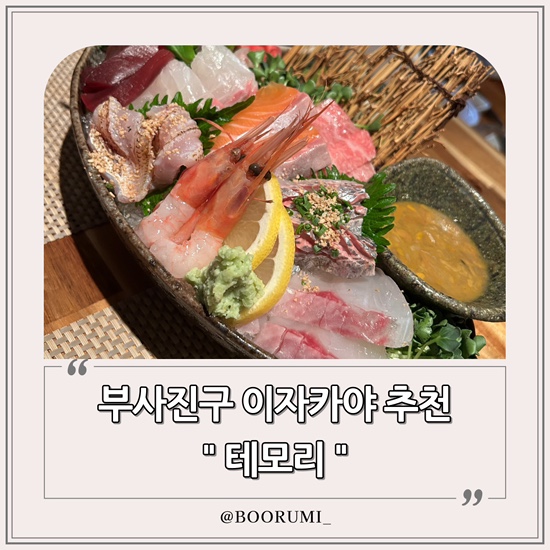 테모리 이미지