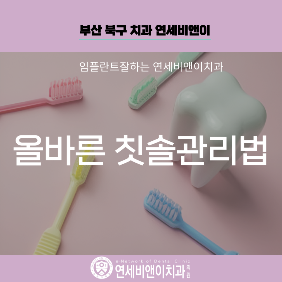 정도비앤이 이미지