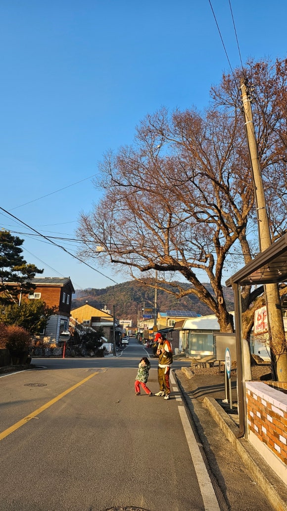 괴산전통시장협동조합 이미지
