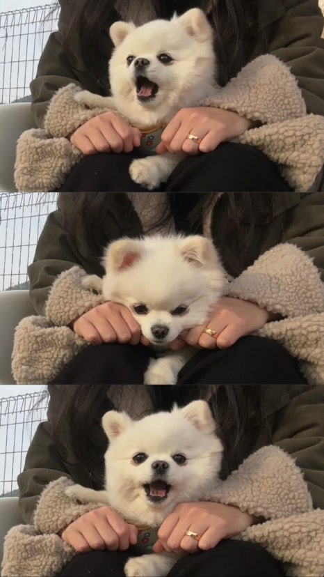 엠와이피에스 이미지