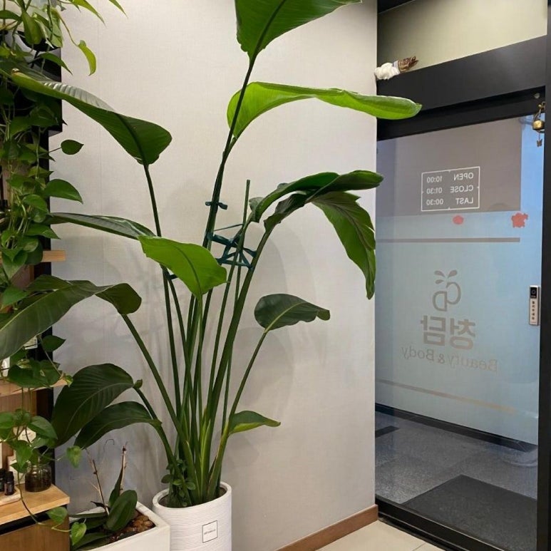 청담뷰티 이미지