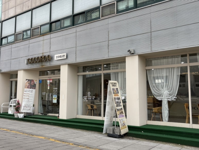 코코로나인 이미지
