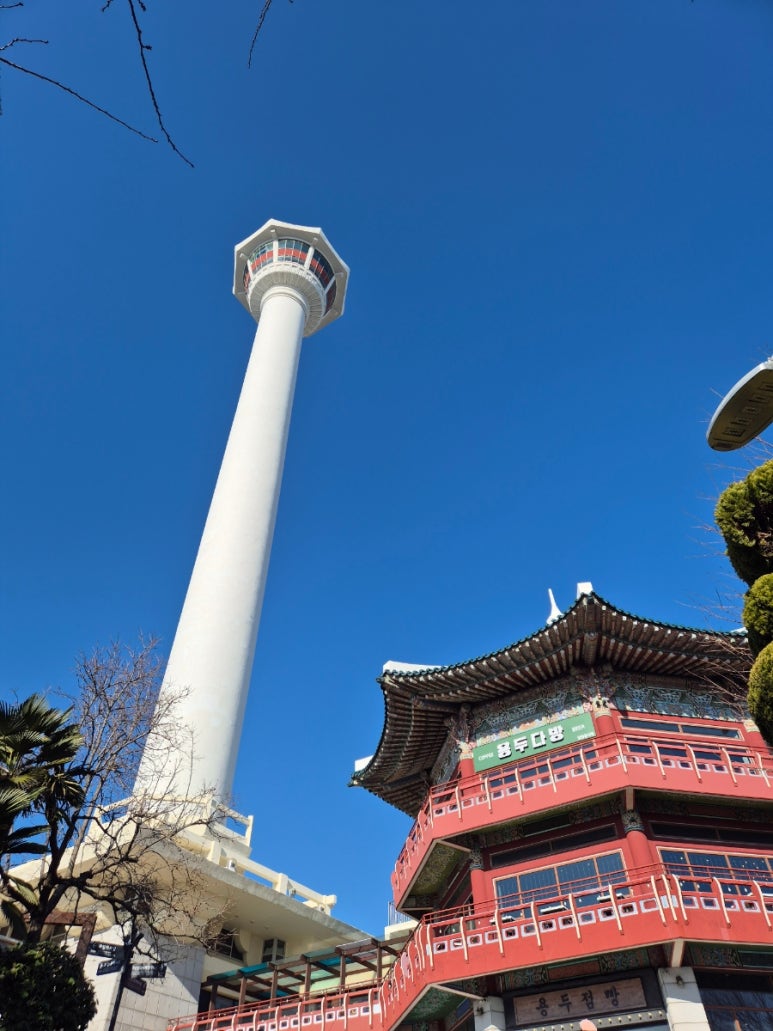 청자다방광주용두점 이미지