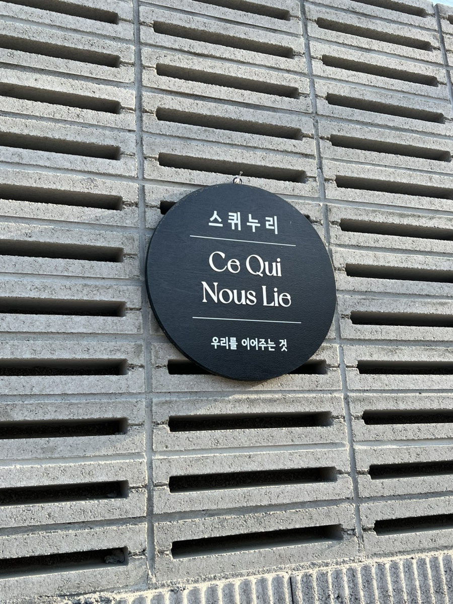 스퀴누리 이미지