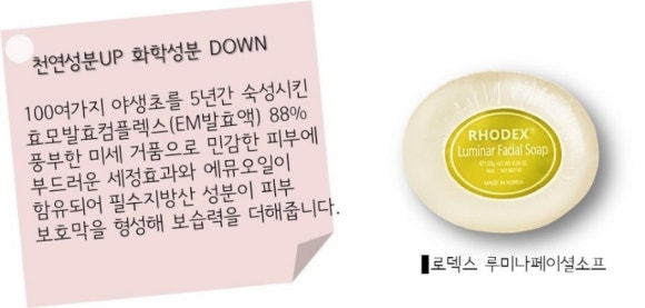 로덱스 이미지