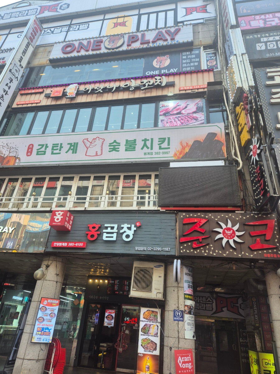 망고준코 이미지