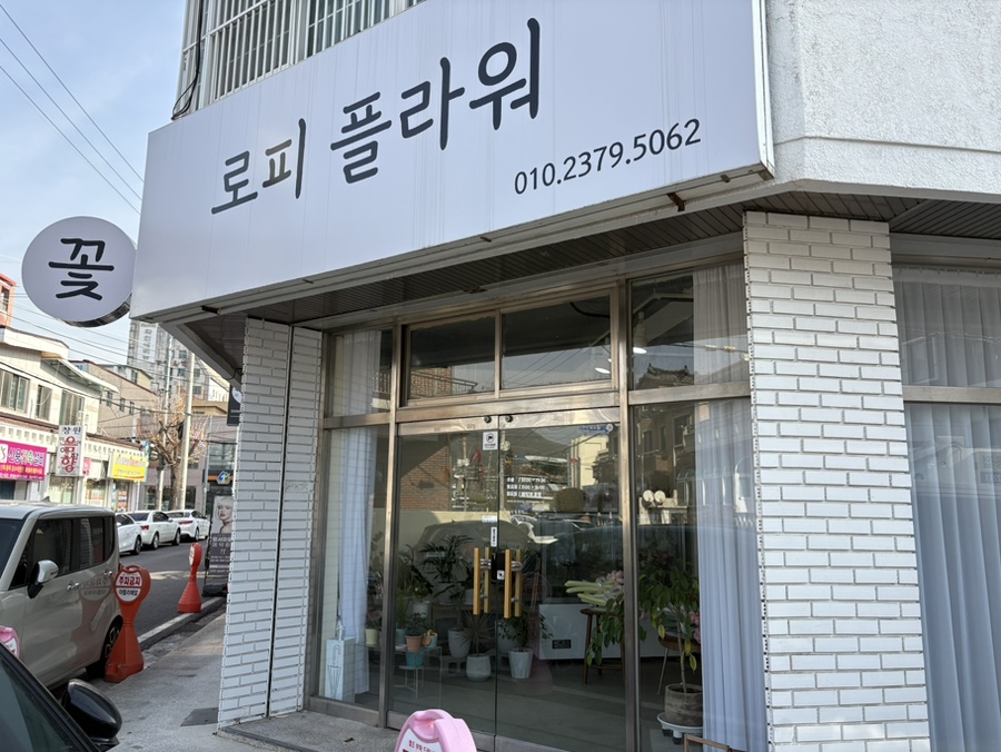 로피플라워&벌룬 이미지