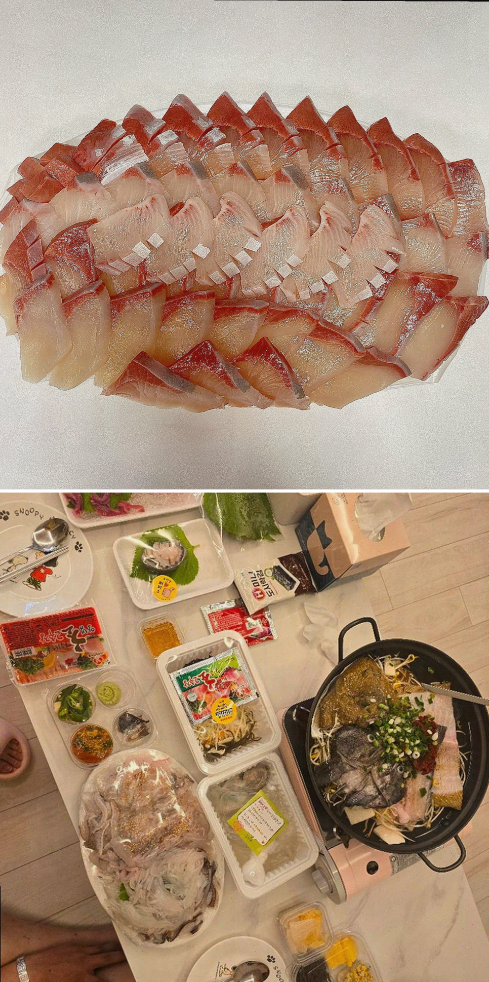 회선장 이미지