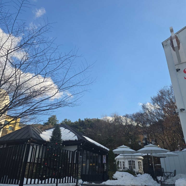 씨드앤씨드 베이커리 이미지