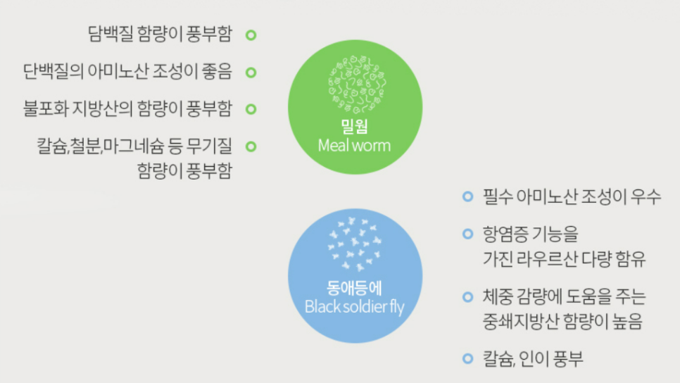 엉클플러스 이미지