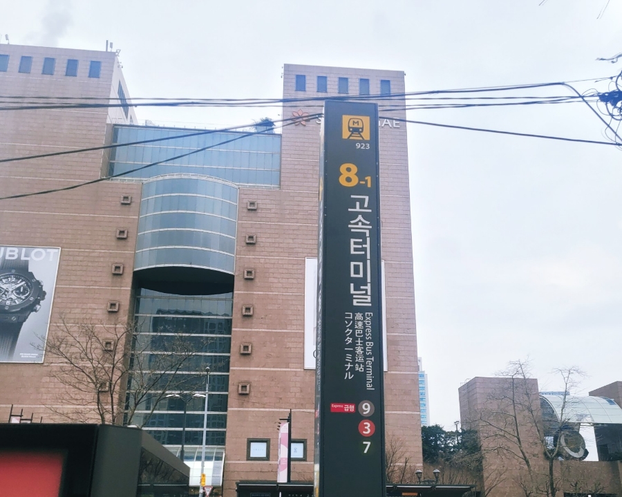 네일리코레푸스 이미지
