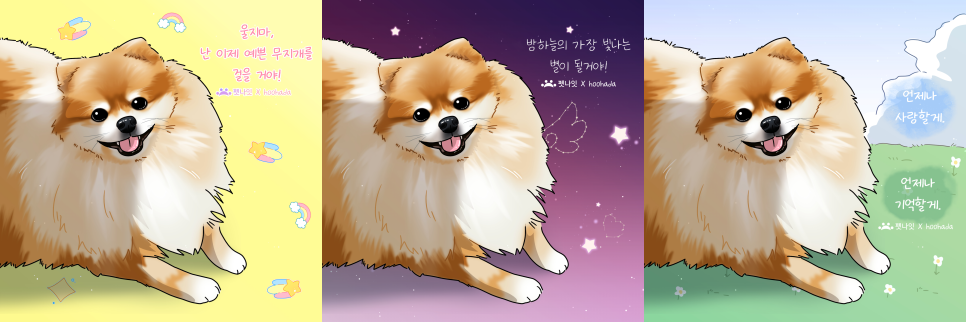 부산 강아지 장례, 2곳 추천 및 비용/절차 총정리 — 사진 10