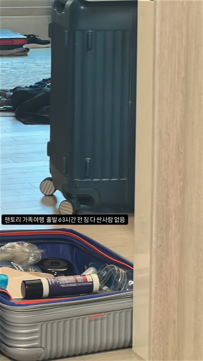 챈토리 이미지