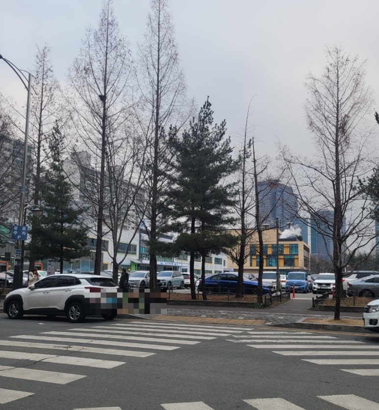 상지문고 이미지