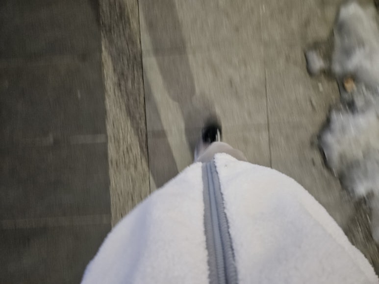 명품한강오리 이미지