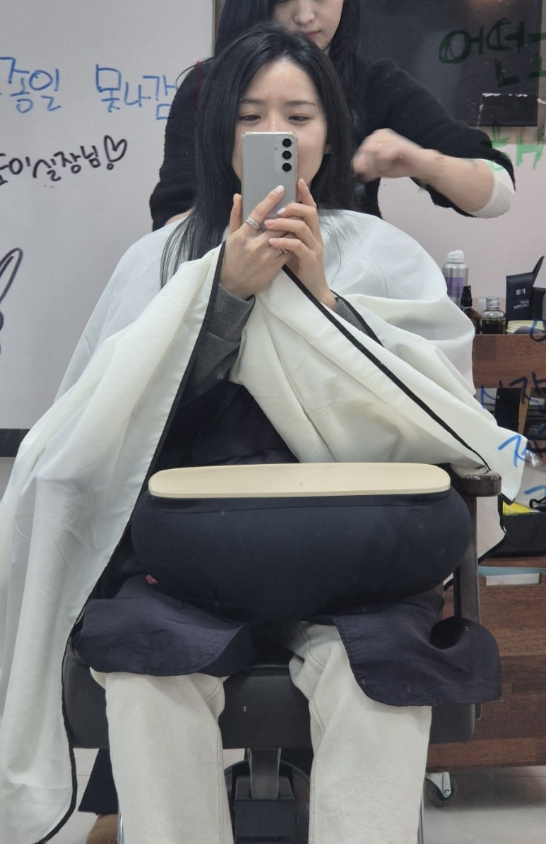 하임 염색 이미지