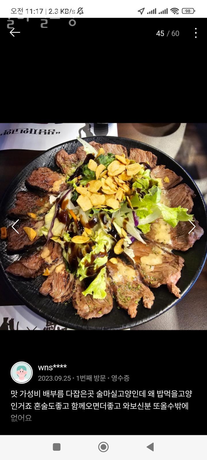 술마실고양 이미지