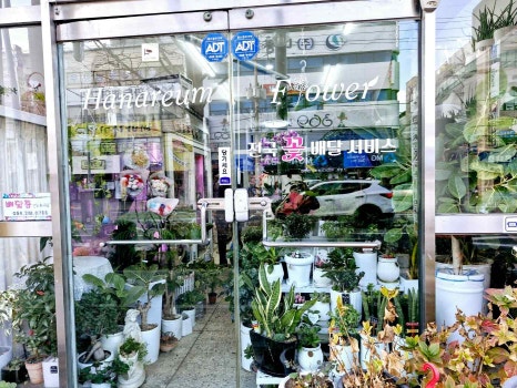 꽃사랑화원 이미지