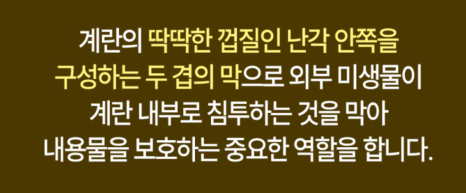 홀드에이지 이미지