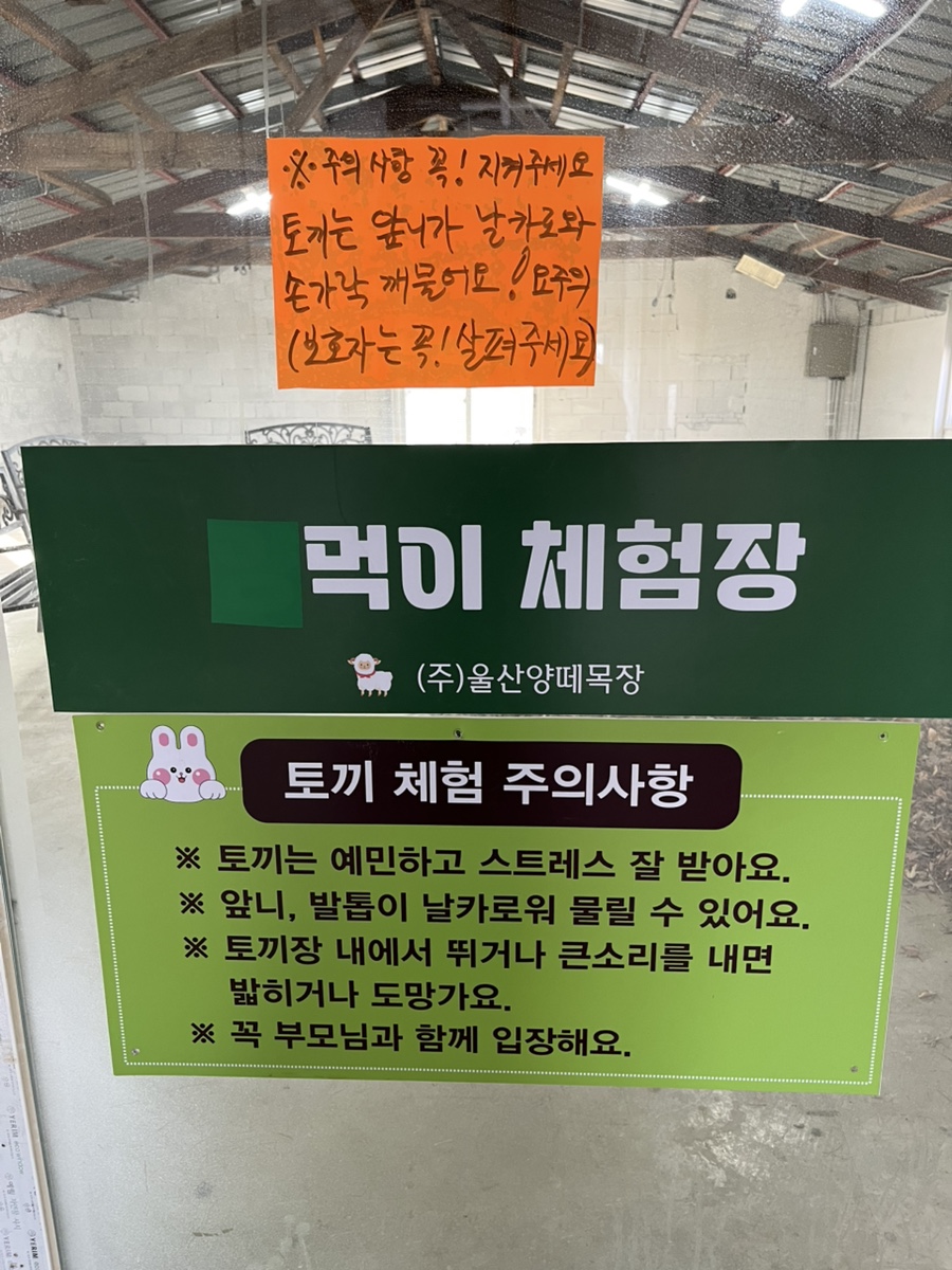 법인울산양떼목장 이미지