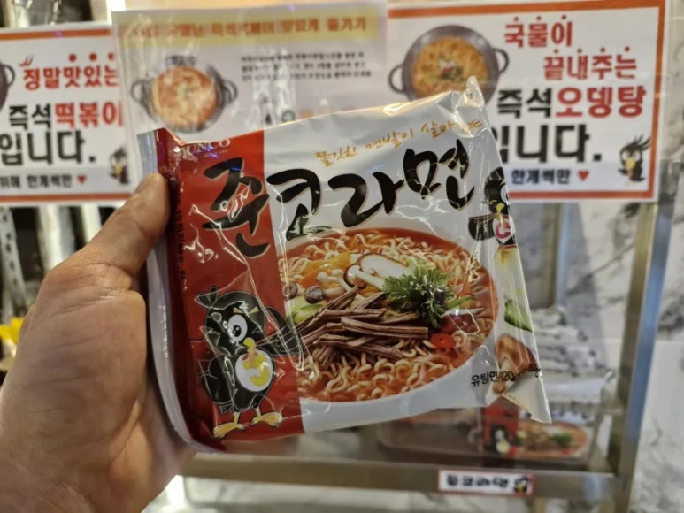 준코-제주 이미지