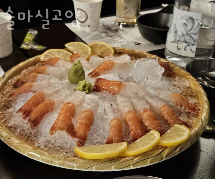 술마실고양 이미지