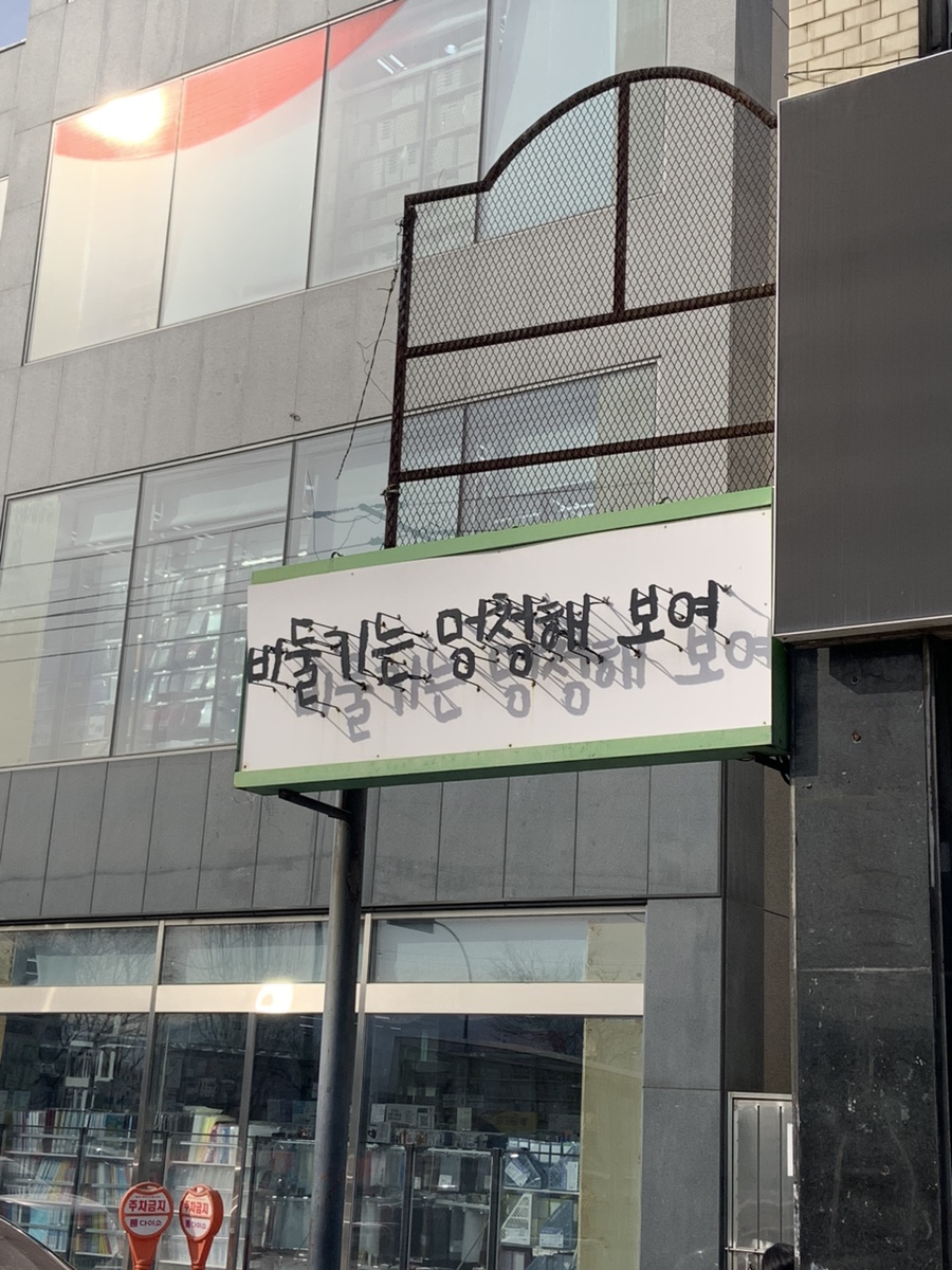 비둘기는멍청해보여 이미지