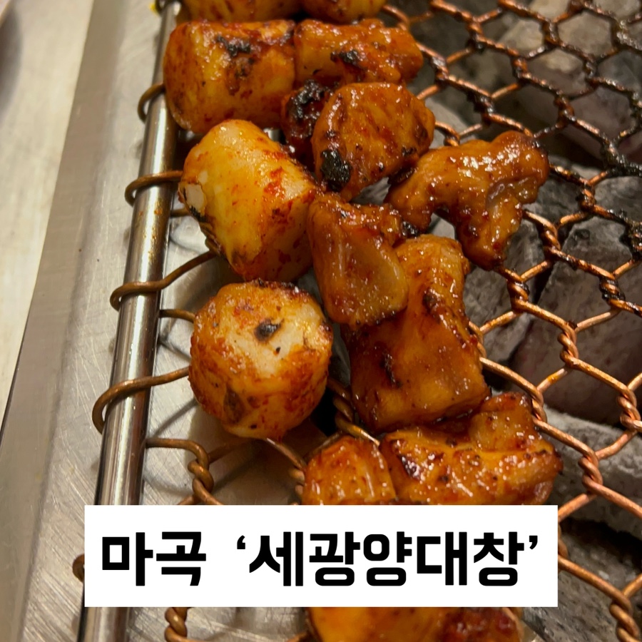 세광양대창발산 이미지