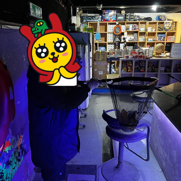 보드타는물고기 이미지
