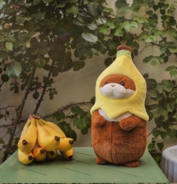 프롬미애 이미지